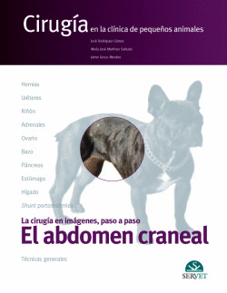 EL ABDOMEN CRANEAL. CIRUG�A EN LA CL�NICA DE PEQUE�OS ANIMALES