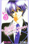 EL ANGEL DEL JARDIN 03 ( DE 4 )(COMIC)