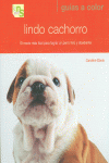 LINDO CACHORRO
