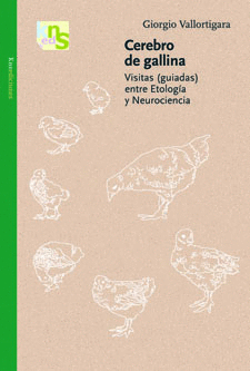 CEREBRO DE GALLINA