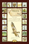 EL PLACER DE ESCRIBIR 7. PEQUE�O CUADERNO DE VIAJES 1