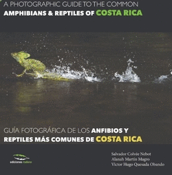 A PHOTOGRAPHIC GUIDE OF THE COMMON AMMPHIBIANS