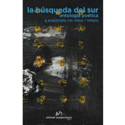 LA B�SQUEDA DEL SUR
