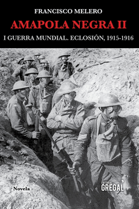AMAPOLA NEGRA II. ECLOSI�N, 1915-1916
