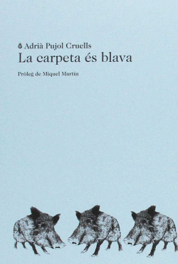 LA CARPETA S BLAVA