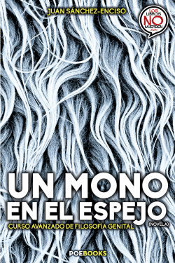 UN MONO EN EL ESPEJO