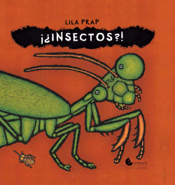 ��INSECTOS?!