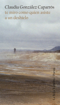 TE MIRO COMO QUI�N ASISTE A UN DESHIELO