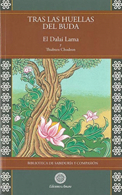 TRAS LAS HUELLAS DEL BUDA