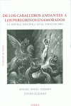 DE LOS CABALLEROS ANDANTES A LOS PEREGRINOS ENAMORADOS