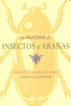 LA ANATOM�A DE INSECTOS Y ARA�AS
