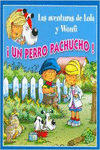 �UN PERRO PACHUCHO!