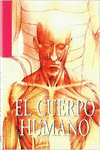 EL CUERPO HUMANO