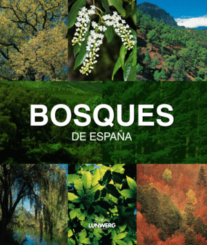 BOSQUES DE ESPA�A. LUNWERG MEDIUM