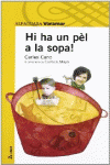 HI HA UN PEL A LA SOPA!