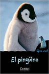EL PING�INO