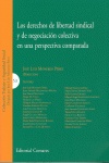 LOS DERECHOS DE LIBERTAD SINDICAL Y DE NEGOCIACI�N COLECTIVA EN UNA PERSPECTIVA
