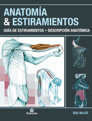ANATOM�A & ESTIRAMIENTOS. GU�A DE ESTIRAMIENTOS. DESCRIPCI�N ANAT�MICA (COLOR)