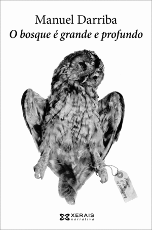 O BOSQUE � GRANDE E PROFUNDO