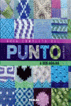 GU�A COMPLETA DEL PUNTO A DOS AGUJAS