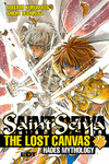 SAINT SEIYA - THE LOST CANVAS 23