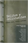 DELITOS Y DELINCUENTES
