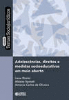 ADOLESC�NCIAS, DIREITOS E MEDIDAS SOCIOEDUCATIVAS EM MEIO..