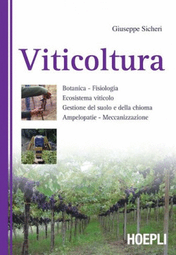 VITICOLTURA