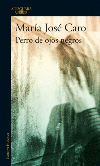 PERRO DE OJOS NEGROS