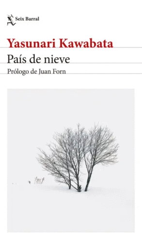 PA�S DE NIEVE