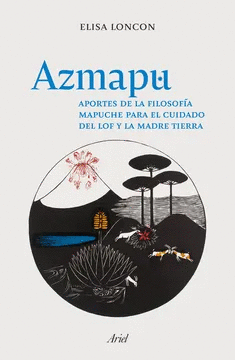 AZMAPU