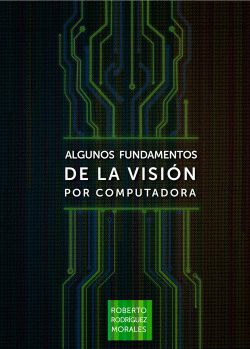 ALGUNOS FUNDAMENTOS DE LA VISI�N POR COMPUTADORA