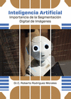 INTELIGENCIA ARTIFICIAL IMPORTANCIA DE LA SEGMEN.DIGIT.IMAG
