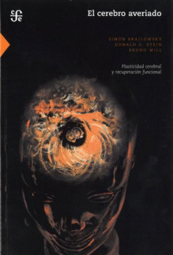 EL CEREBRO AVERIADO : PLASTICIDAD CEREBRAL Y RECUPERACI�N FUNCIONAL