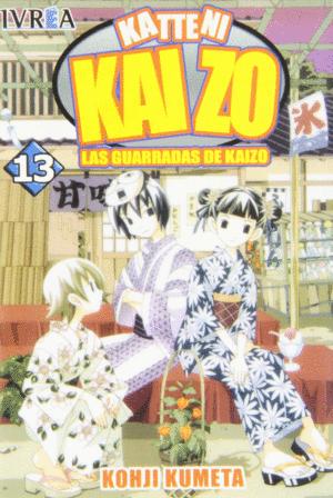 KAIZO N� 13