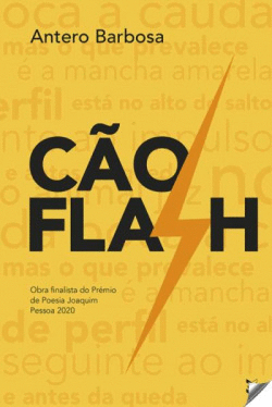 C�O FLASH