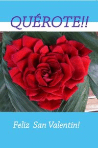 (POSTAL) QU�ROTE! FELIZ SAN VALENT�N! (R-20160115)