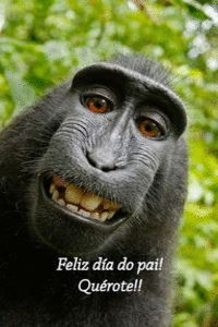 (POSTAL) FELIZ D�A DO PAI .-III