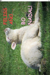 (POSTAL) BO NADAL FELIS A�O